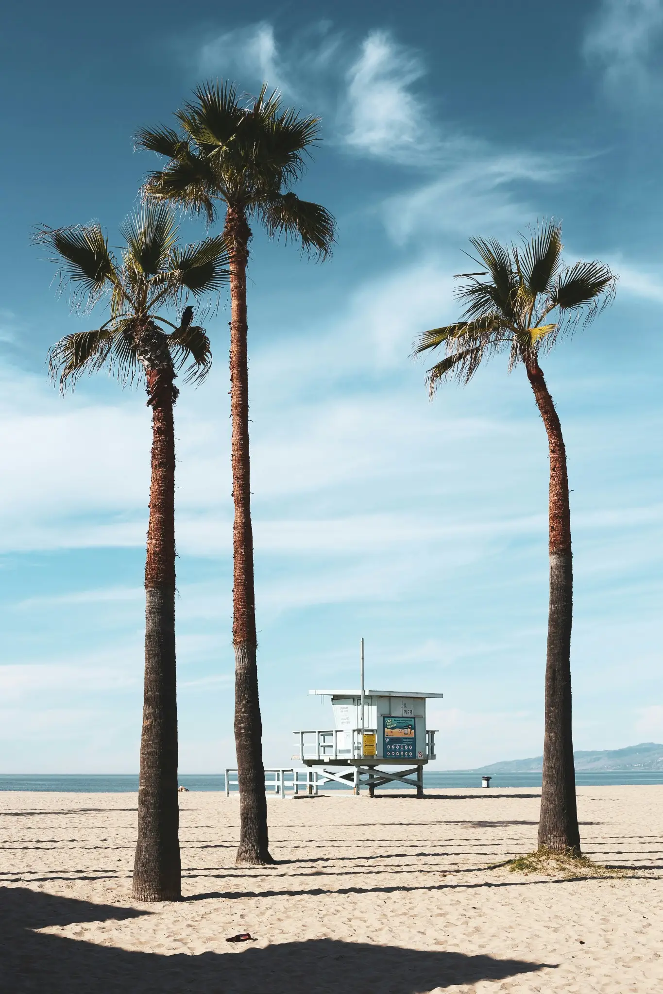 LOS ANGELES, USA